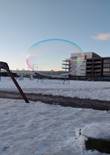 20230117_113330 (Large).jpg (385848 bytes)